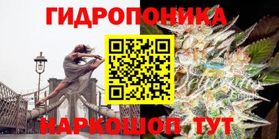 спайс Шелехов