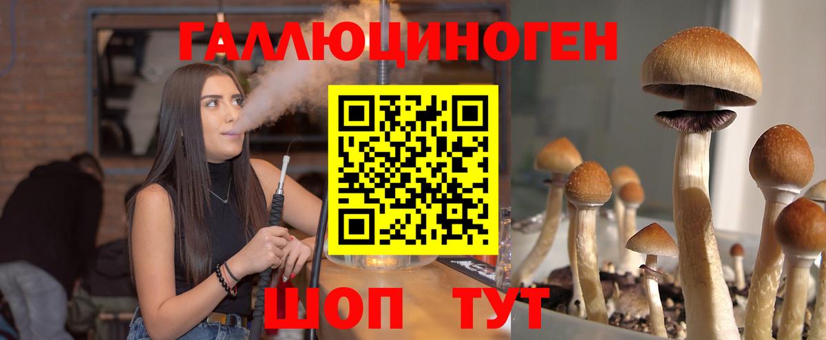 Псилоцибиновые грибы Magic Shrooms  купить наркоту  Мичуринск  Вход с VPN 